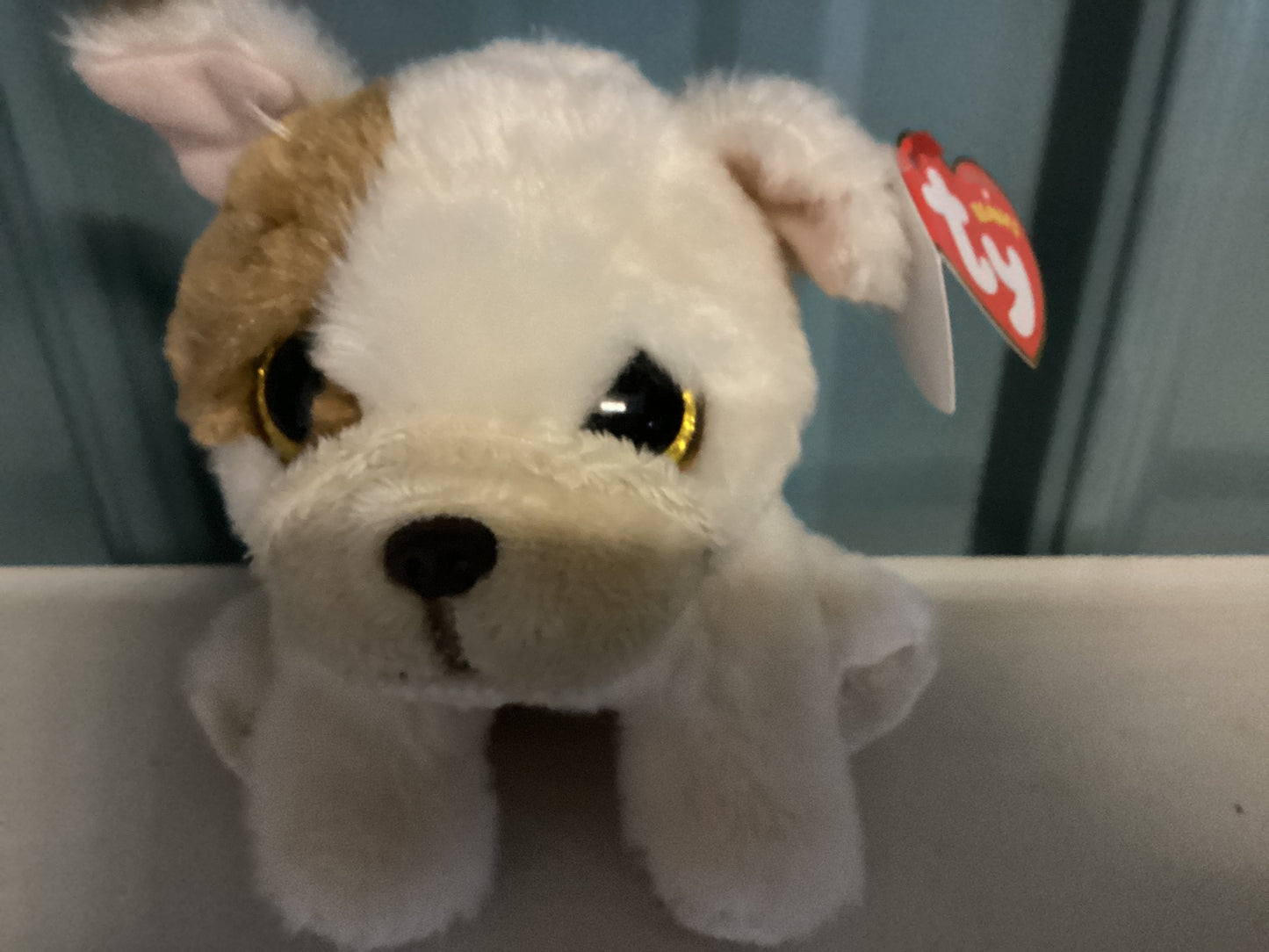 Ty Beanie Babie - Pug Reg