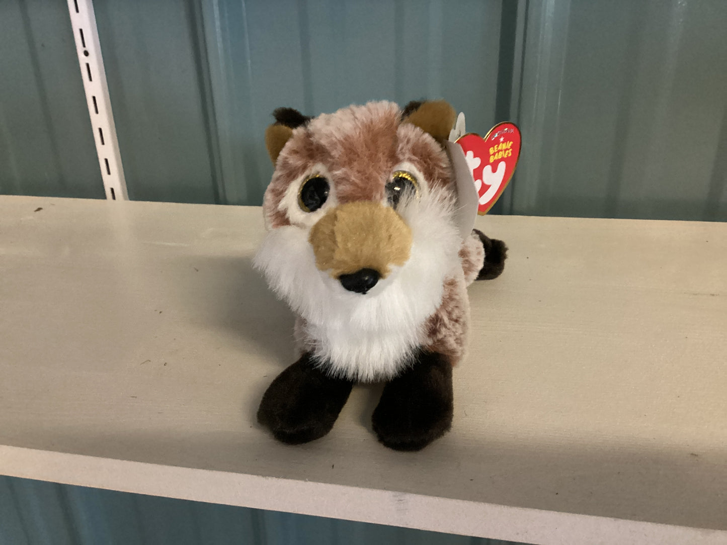 Ty Beaine Babie - Fox Reg